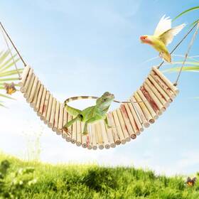 Glppt70 Neeenn Lizard Climbing Toys Natural Material Reptile Ladder Bridge Tank