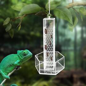 Lbxtmxywsx001 Neeenn Chameleon Feeding Bowl Hanging Transparent Acrylic Bearded