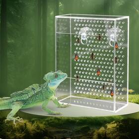 Tmlkbxywsxdxp001 Neeenn Bearded Dragon Feeder Chameleon Bug Bowl Transparentk Acrylic Reptile Feede