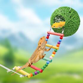 Tqptnw015 Neeenn Reptile Takraw Ball Hideout Climbing Toy Ladder Tank Decor