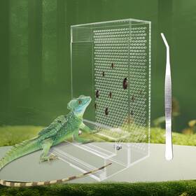 Txyklwsc001 Neeenn Bearded Dragon Feeder Chameleon Bug Bowl Kit With Steps Transpare... Fast Ship