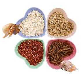 Xxsljgwsp004 Neeenn 4 Pack Hermit Crab Plastic Food Dish And Water Bowl Mini Kit Tarantula