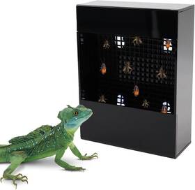 Xywsxdxp001 Neeenn Chameleon Feeder Bearded Dragon Bug Bowl Black Acrylic Reptile