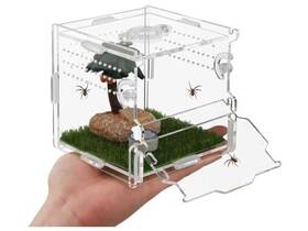 Nenheioni 752771111231 Reptile Terrarium Spider Enclosure Transparent 4x4x4 Inch