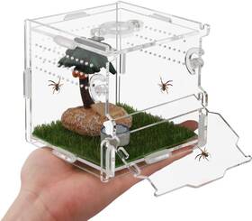 Zz-cesuo-1-10cm-us Nenheioni Reptile Terrarium Tarantula Enclosure Jumping Spider Transparent