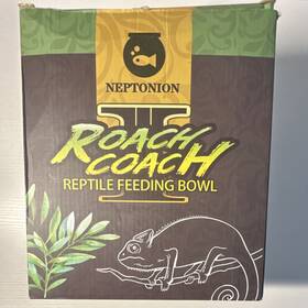 X0039p2aph Neptonion Roach Coach Reptile Feeding Bowl Insect Storage Solution
