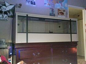Ehrml17-00s New Age Pet Ecoflex 60-inch Mojave Reptile Enclosure