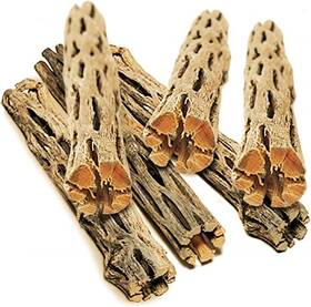 No 981829588323 Leopard Gecko Wood 5 Inches Long Create Basking Spot Artistic Home-decor 6-pack