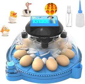 7dcjk12s Nollapo 18-12 Egg Incubator With One Bottom Light Tester 95% Hatching Rate Autom