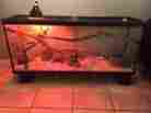 47497960998 None 75 Gallon Terrarium Tank Kit Reptile Turtle Frog Lizard Snake Exo Animal Habitat