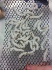 North West Reptile Feeders Live Feeder Silkworms Great For Reptiles