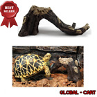 Ns-49 World 9.99 Mall Turtle 712201204339