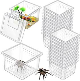 Nuanchu 744759726759 20 Pcs Insect Spider Terrariums Breeding Box Small Reptile Hatching Container Tr