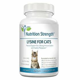 Nutrition Strength 645189989618 Lysine For Cats Help Support The 120 Chewable Tablets