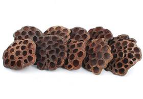 Nwfashion 667797766351 10pcs/package Artificial Dried Brwon Lotus Pods Decoration Fl