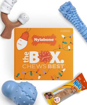 Nylabone 018214855934 Holiday Dog Gift Box For Large Dogs Includes 3 Strong Chew