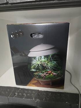 71749 Oase Biorb Air 30l Terrarium - Grey