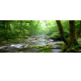Oerju 320921196150 48x18 Inch Rainforest Terrarium Background - Deep Forest Tank Aquarium Backgr
