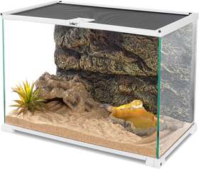 Oiibo 445047112126 15 Gallon Glass Reptile Terrarium Tank 20 Inch X 12 14 Medium Ter