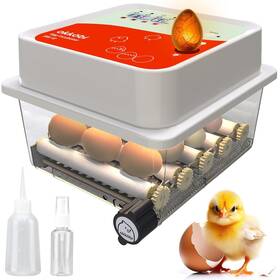OkkÖ Bi 701152107636 Incubators For Hatching 12 Eggs Ideal All Ages Incub