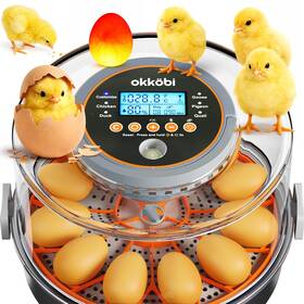 Okkf13187 OkkÖ Bi 12 Egg Incubator With Automatic Turning And Humidity Control Tempera