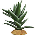 On-217a Imagitarium Aloe Plant Reptile 800443985816