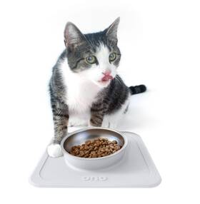 Ono 862865000386 Good Bowl Food And Water Single Feeder - Small To Medium Pets No Spill Non