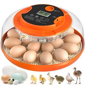 Onsju 976030142260 18 Egg Incubator With Automatic Turning And Humidity Control Incubators