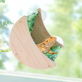 Xymzylsc001 Oooct Bearded Dragon Window Hammock Lizard Bed Moon Shelves