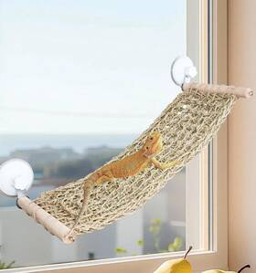 Ooxyg 762316976355 Bearded Dragon Hammock For Window 21.6 X 7.8 In Natural Seagrass Dra
