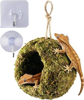 Orbidyn 445048161123 Handmade Crested Gecko Tank Accessories Bearded Dragon Reptile Hi