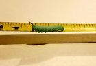 Oregon Silkworms Live Small Hornworm Fast Shipping Manduca Sexta