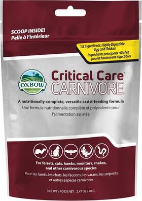 45788 Oxbow Critical Care Carnivore Made With Whole Egg 2.47 Ounce Pack