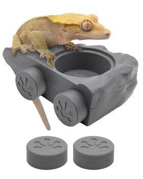 Pangea 850039672958 Silicone Gecko Feeding Ledge - Magnetic Mini Food Dish For Reptile Tan