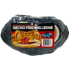 Pangea 854732004788 Ultimate Suction Cup Gecko Feeding Ledge