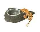 Pangea Mini Magnetic Gecko Feeder Ledge 854732004313 Pangea Mini Magnetic Gecko Feeder Ledge 854732004313