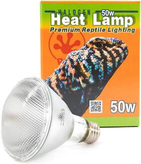 Pangea Reptile 445008311322 50w Halogen Heat Lamp For Reptiles - Warming Uva And Infrared Light T