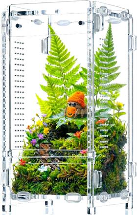 Pawalx 744759424143 Jumping Spider Enclosure Acrylic Terrarium With Magnetic Doors 0.8mm Micr