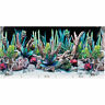 Pcdd-18 Seaview Desert Dream Deep Flora Terrarium Background