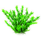 Pd-bh10 Aquatop Aquatic Supplies Like Aquarium Green Inch 819603014358