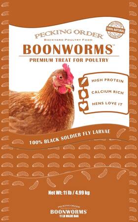 Pecking Order 737539091536 Boonworms Treat For Chickens Are Protein And Calcium Rich Black Soldier Fly L