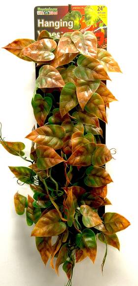 Penn-plax 030172087509 Reptology Decorative Hanging Terrarium Plant Vines For Reptiles And Amphibian
