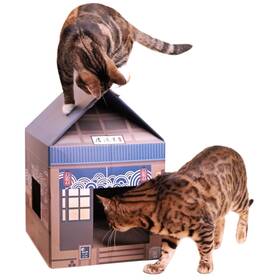 Pet Dominion 711500020046 Japanese Pub Vibes Cat Scratcher House - A Cozy Haven For Your Kitty