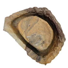 Pt-186 Pet Tekk Magnatural Fly Island Earth Bearded Dragon Crested Gecko Reptile Dish