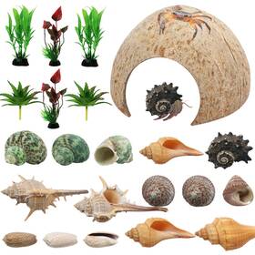 2681039-yus Pietypet Hermit Crab Supplies - 22 Pcs Shells Natural