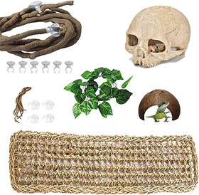 Pinvnby 445006480457 Bearded Dragon Tank Accessories Reptiles Resin Human Skull Habitat Decor