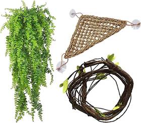 Pinvnby 726084366725 Plants For Reptile Habitats Bearded Dragon Hanging Plant Vines Branch De