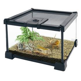 Hl0703-s Pinvnby Mini Reptile Glass Terrarium Tank 7.9 Inch X7.9 X5.7 Micro Habitat Encl