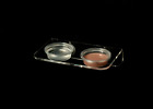 Pngagl-sm Pangea Magnetic Gecko Ledge Pngagl-sm Pangea Magnetic Gecko Ledge