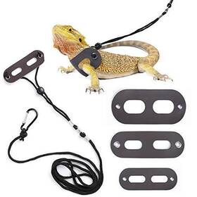 Polkastore 710827709115 Bearded Dragon Harness And Leash Adjustable S M L 3 Pack - Soft Leather Rep